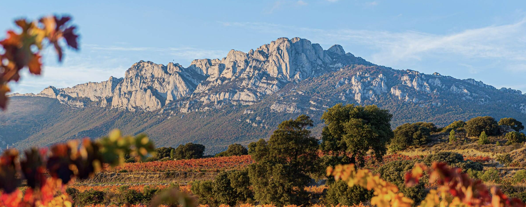 Asesoría en La Rioja